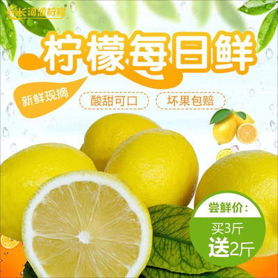 安岳黃檸檬 鮮采直銷，應季好果，多規格批發之選